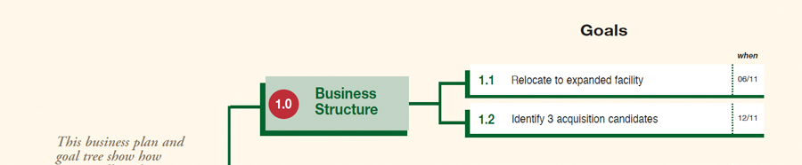 Strategic- Business Structure.